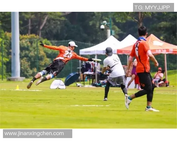 深圳飞盘队荣登全国飞盘技术排行榜第三名引发热议